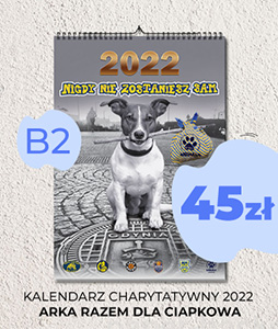 kalendarz charytatywny 2022 arka razem dla ciapkowa